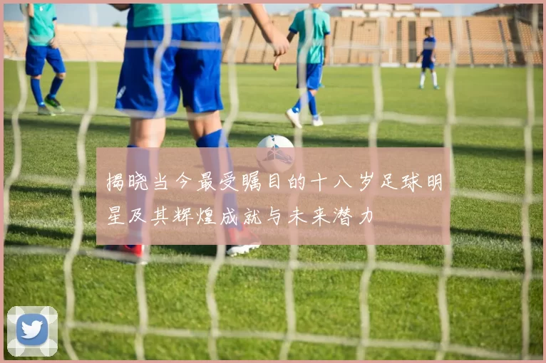 揭晓当今最受瞩目的十八岁足球明星及其辉煌成就与未来潜力