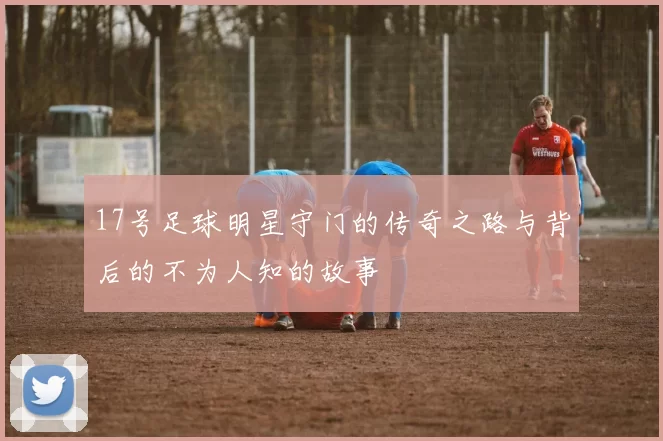 17号足球明星守门的传奇之路与背后的不为人知的故事