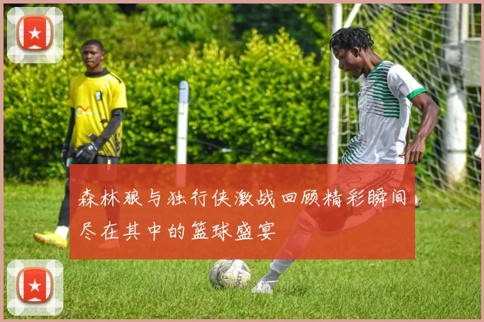 森林狼与独行侠激战回顾精彩瞬间尽在其中的篮球盛宴