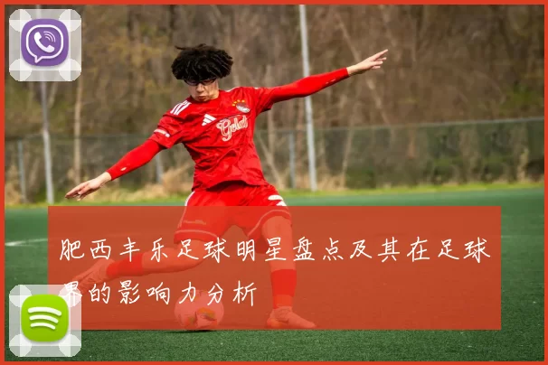 肥西丰乐足球明星盘点及其在足球界的影响力分析