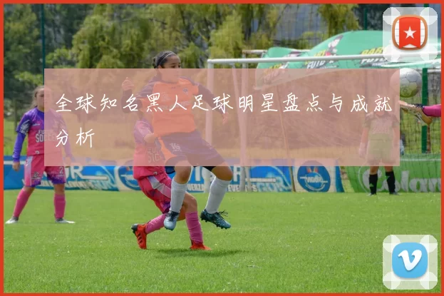 全球知名黑人足球明星盘点与成就分析