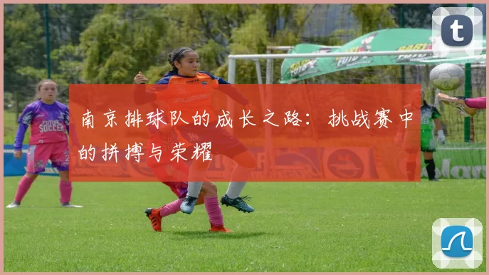 南京排球队的成长之路：挑战赛中的拼搏与荣耀
