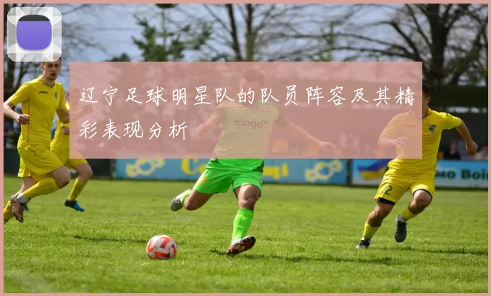 辽宁足球明星队的队员阵容及其精彩表现分析
