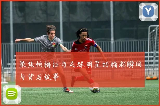 聚焦帕梅拉与足球明星的精彩瞬间与背后故事