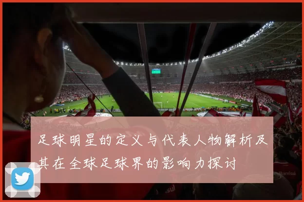 足球明星的定义与代表人物解析及其在全球足球界的影响力探讨