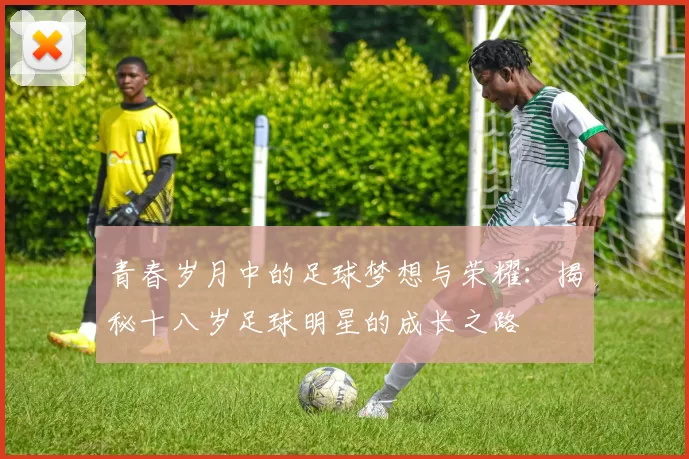 青春岁月中的足球梦想与荣耀：揭秘十八岁足球明星的成长之路