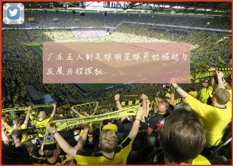 广东五人制足球明星球员的崛起与发展历程探秘