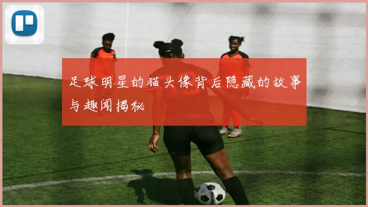 足球明星的猫头像背后隐藏的故事与趣闻揭秘