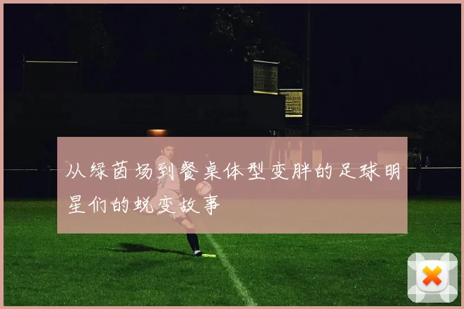 从绿茵场到餐桌体型变胖的足球明星们的蜕变故事